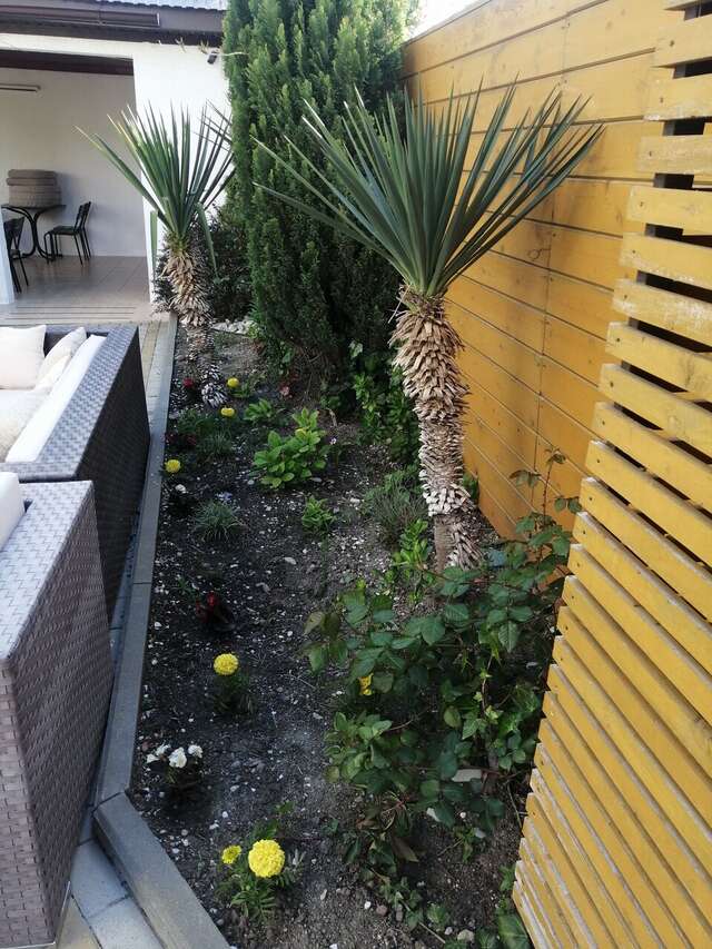 Гостиница Дольче Вита Геленджик-105