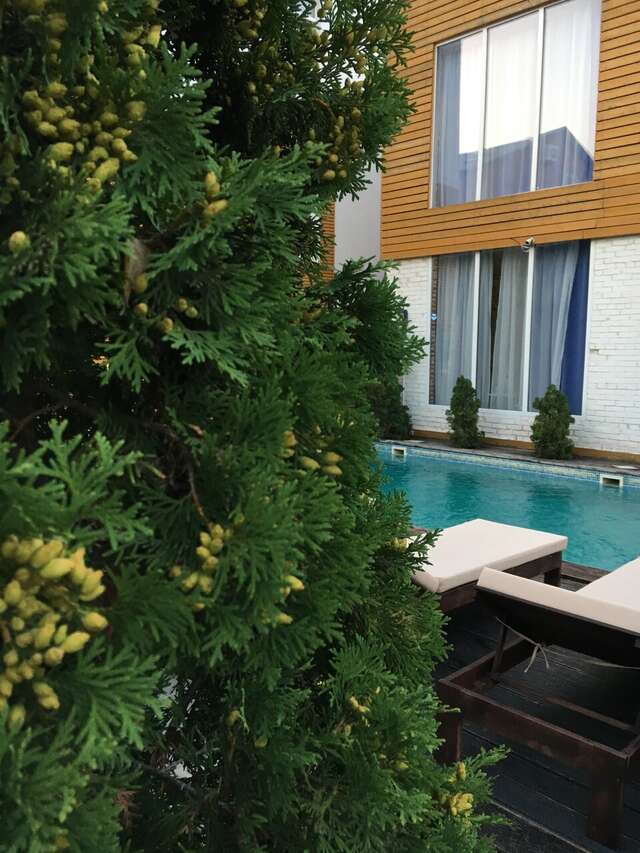 Гостиница Дольче Вита Геленджик-134