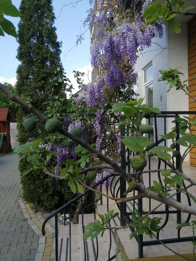 Гостиница Дольче Вита Геленджик-87