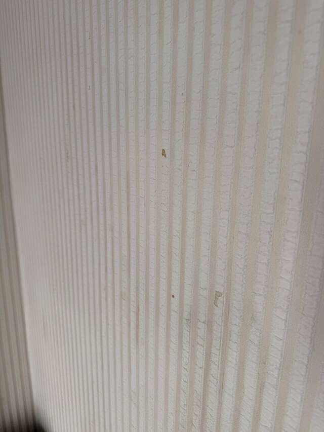 Гостиница Дольче Вита Геленджик-177