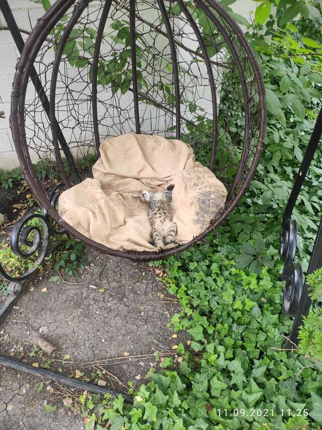 Гостиница Дольче Вита Геленджик-98