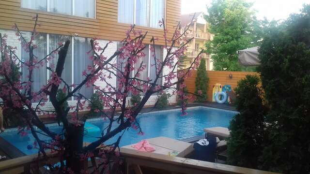 Гостиница Дольче Вита Геленджик-94